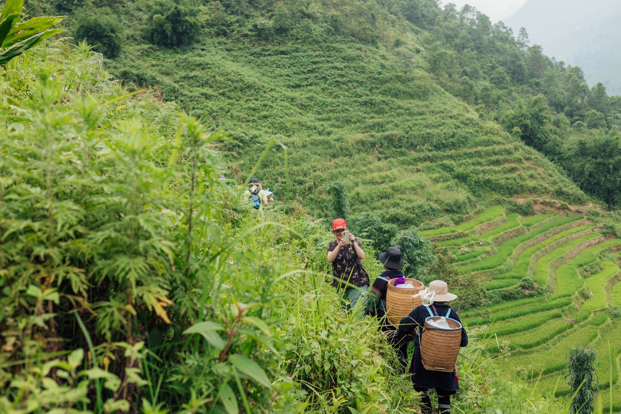 Sa Pa Terraced Rice Fields With Tourists and Hill Tribe
